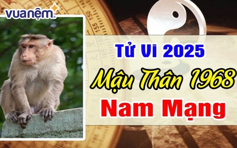 Đây là những người có tính bền bỉ và kiên trì