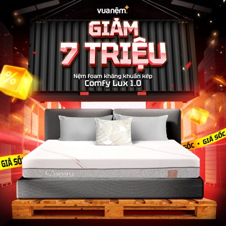 Nệm foam Comfy Lux 1.0