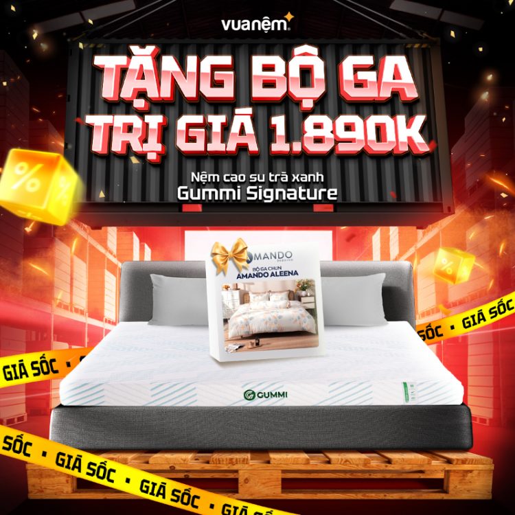 Nệm cao su trà xanh Gummi Signature