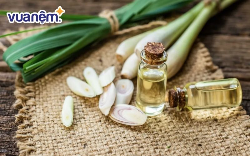 Hương sả giúp khử mùi khai và xua muỗi hiệu quả