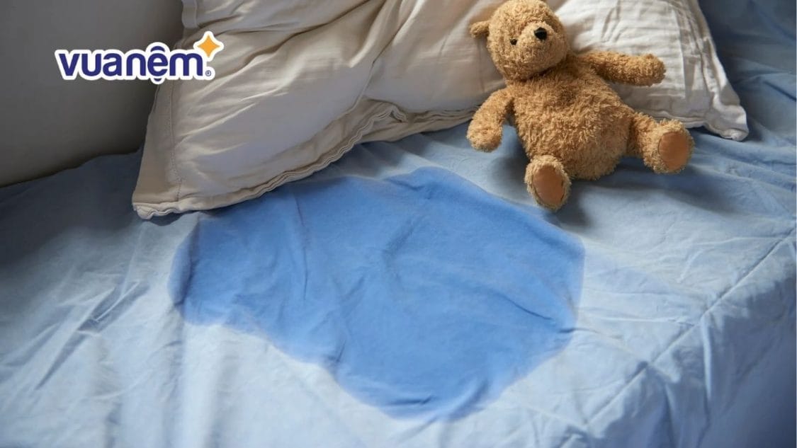 xử lý nệm bị dính nước tiểu