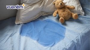 12 cách xử lý nệm bị dính nước tiểu đơn giản và hiệu quả