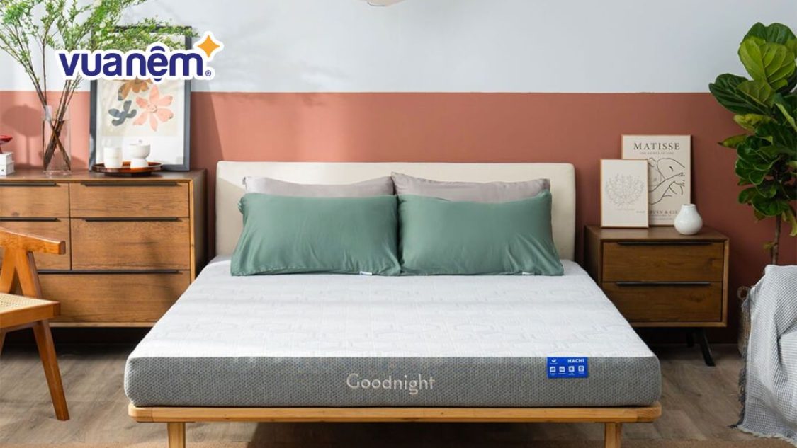 6 cách xử lý nệm bị nấm mốc cực hiệu quả ngay tại nhà