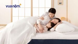 Top 10 mẫu nệm 3 người nằm chất lượng, giá tốt 2026