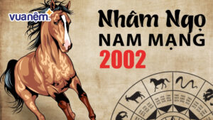 Chi tiết về tử vi tuổi Nhâm Ngọ 2002 – Nam mạng năm 2025