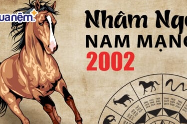 Tử vi tuổi Nhâm Ngọ 2002 nam mạng năm 2025