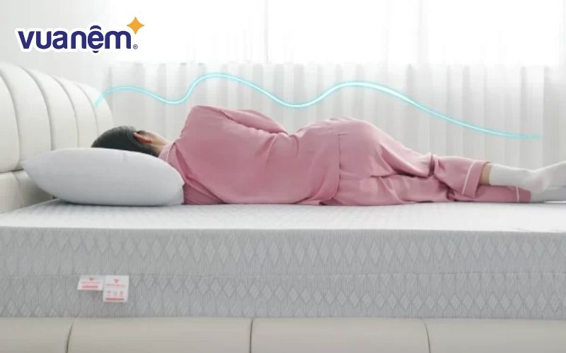 Nệm foam Thuần Việt Premium