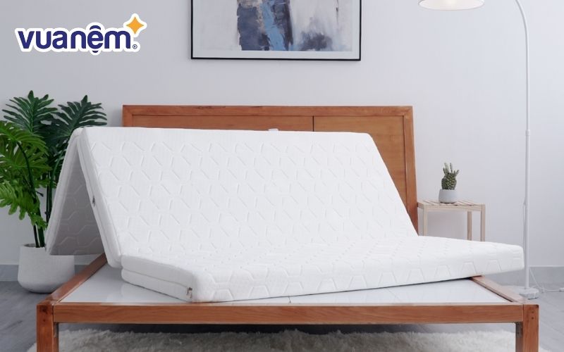 Nệm bông ép Thuần Việt