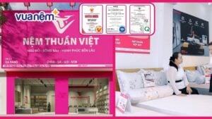 Bảng giá nệm Thuần Việt cập nhật chi tiết năm 2025