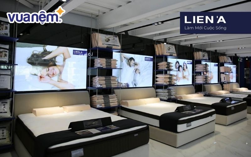 Danh sách showroom, đại lý nệm Liên Á phân bố rộng rãi trên toàn quốc