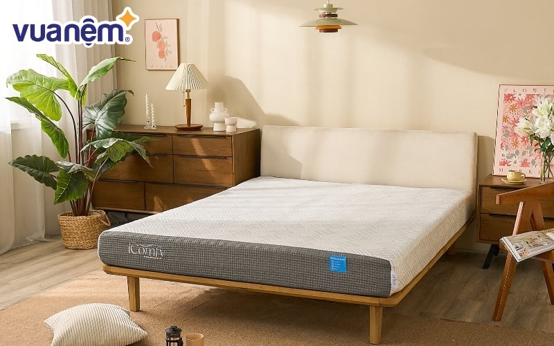 icomfy-coolax-plus