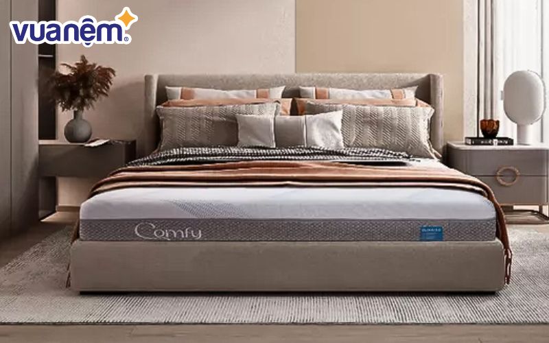 iComfy được đánh giá cao với dòng nệm foam chất lượng