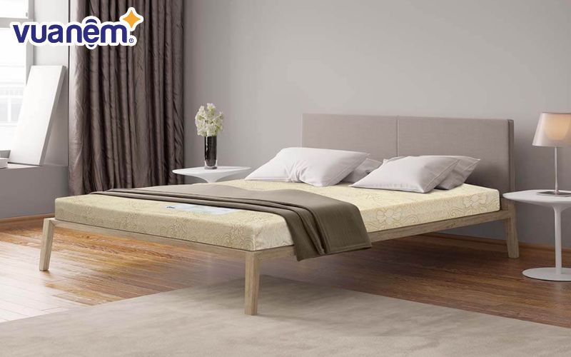 Đệm foam Goodnight Eva với nhiều tùy chọn về kích thước