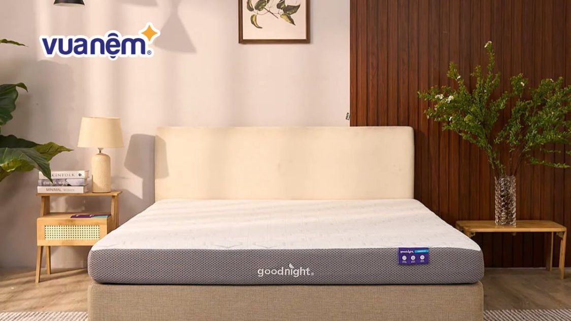 Mua nệm 1m8x2m2 ở đâu? Địa chỉ mua nệm chính hãng, giá tốt
