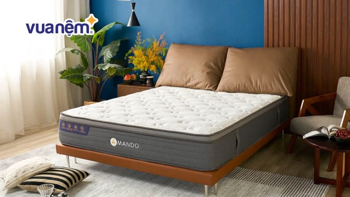 Bảng giá mẫu nệm 1m x 1m8 nên mua năm 2026