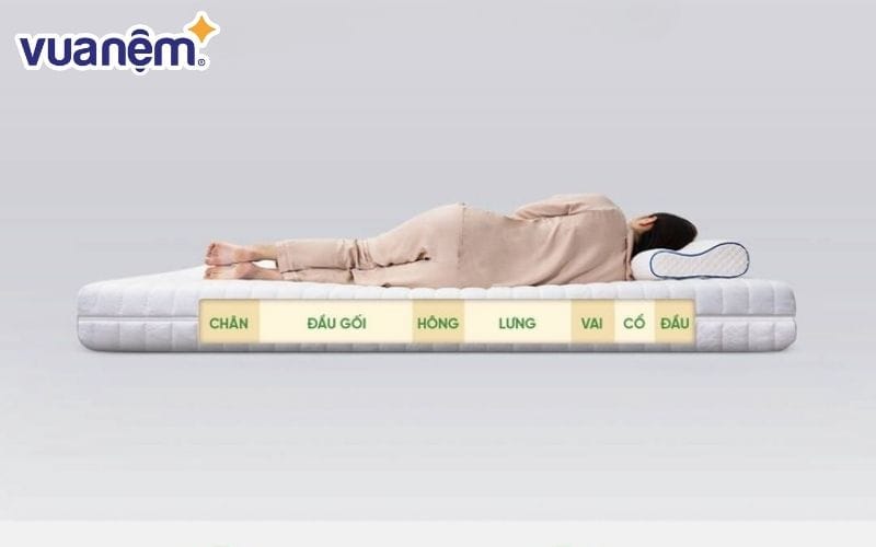 Nệm cao su Gummi Legend nhập khẩu với nhiều tính năng ưu việt