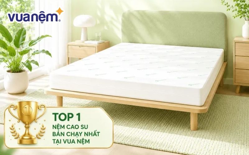 Nệm cao su thiên nhiên Gummi Classic thế hệ mới