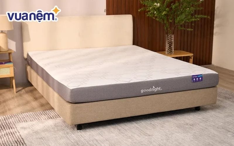 Nệm foam Goodnight Massage 2.0 (Hachi)