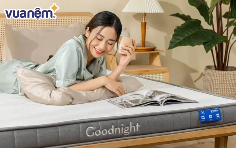 Nệm cao su đa tầng Goodnight Latex Hybrid