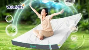 Nệm than hoạt tính là gì? Top 6 mẫu nệm than hoạt tính tốt