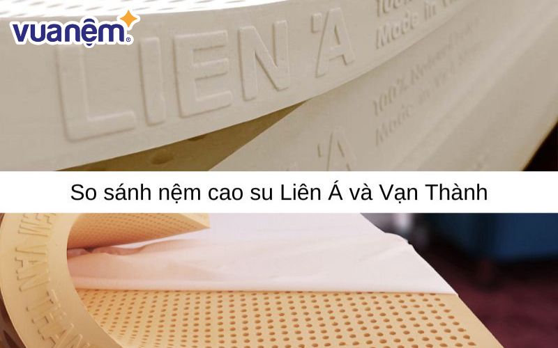 So sánh hai thương hiệu nệm Liên Á và Vạn Thành nên chọn loại nào?