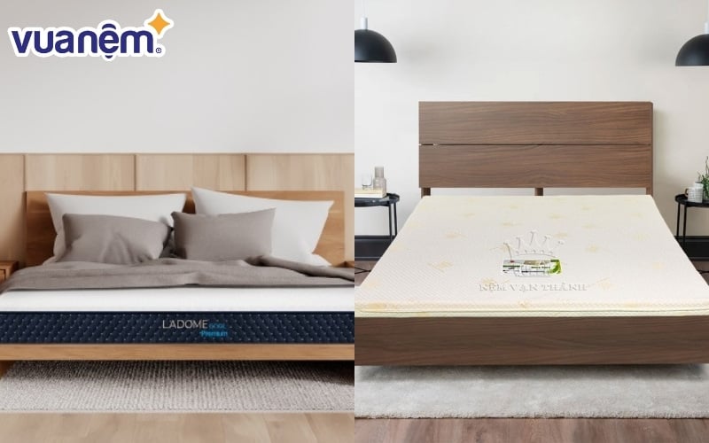So sánh nệm bông ép