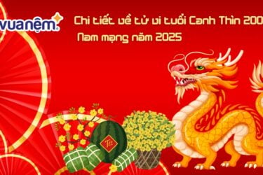 Chi tiết về tử vi tuổi Canh Thìn 2000 - Nam mạng năm 2025