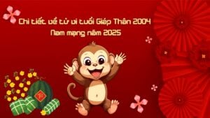 Chi tiết về tử vi tuổi Giáp Thân 2004 - Nam mạng năm 2025