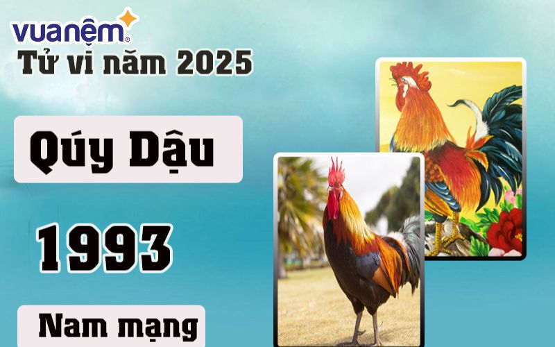 Công việc của Quý Dậu 1993 sẽ hơi khó khăn trong năm 2025