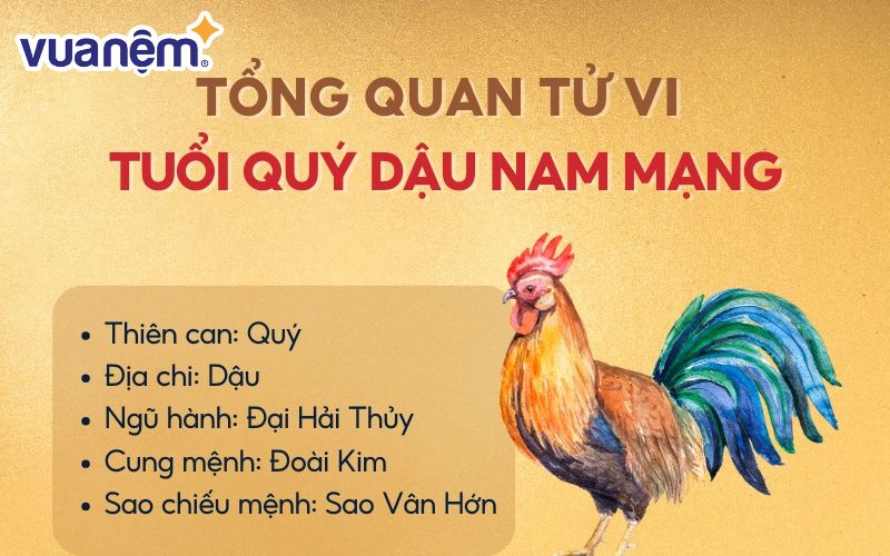 Nam giới tuổi Quý Dậu sinh năm 1993 thuộc mệnh Kiếm Phong Kim.