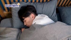 Top 20+ mẫu chăn bông ấm, chất lượng, đáng mua