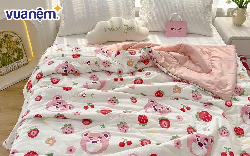 Mẫu chăn cotton đũi Dulcett