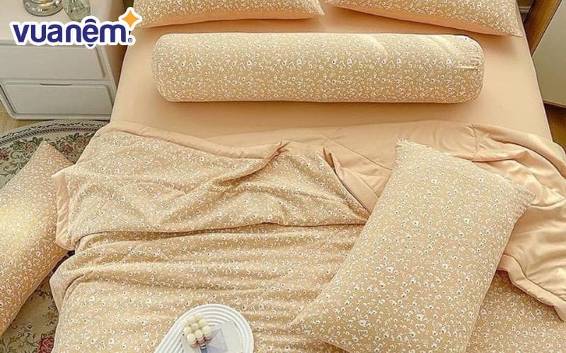 Tham khảo kinh nghiệm chọn chăn đũi Hàn Quốc phù hợp