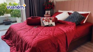 Top 10 mẫu chăn ga cưới màu đỏ dành cho vợ chồng mới cưới