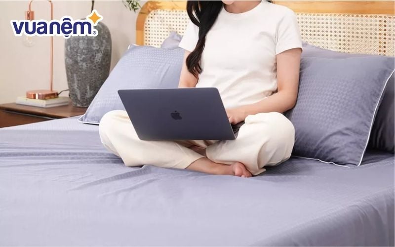 Bộ chăn ga polyester gấm Amando Ellie màu xanh dương