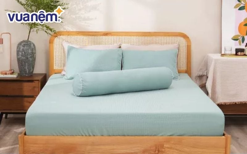 Mẫu chăn ga gấm màu xanh ngọc Amando Ellie