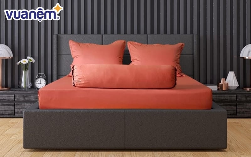 Bộ ga chun AMD Elsa cotton HQ