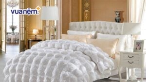 Top 10 mẫu chăn lông ngỗng ấm áp nên mua trong mùa đông