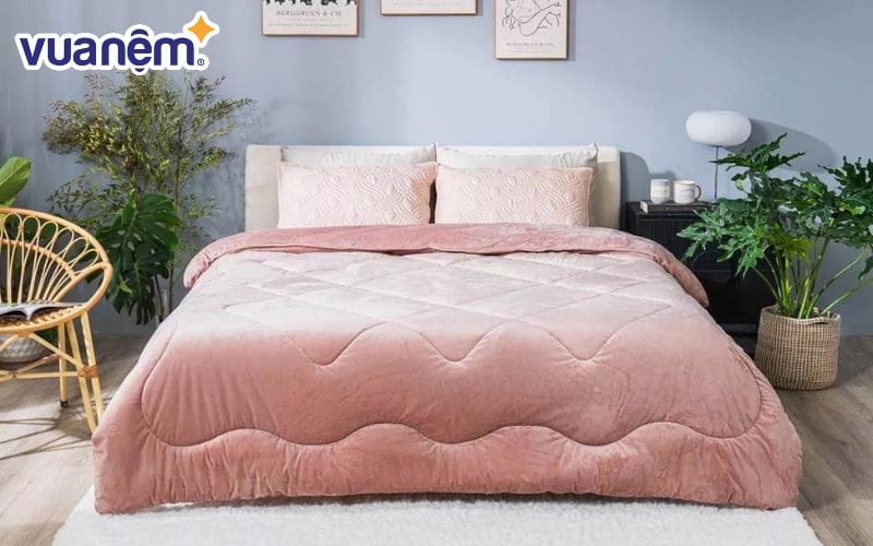 Tham khảo kinh nghiệm chọn chăn nhung tuyết phù hợp