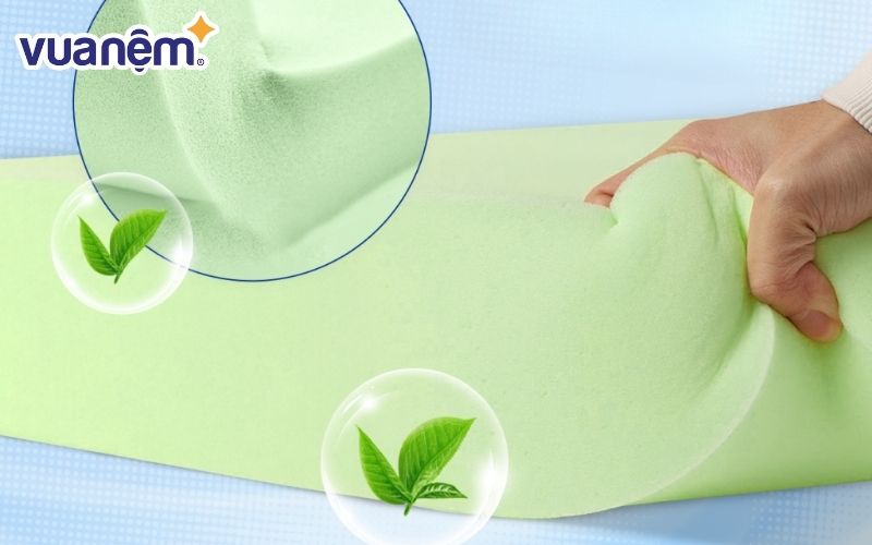 Cơ chế hoạt động của trà xanh trong nệm 