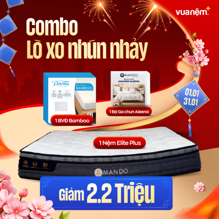 Combo Lò xo nhún nhảy