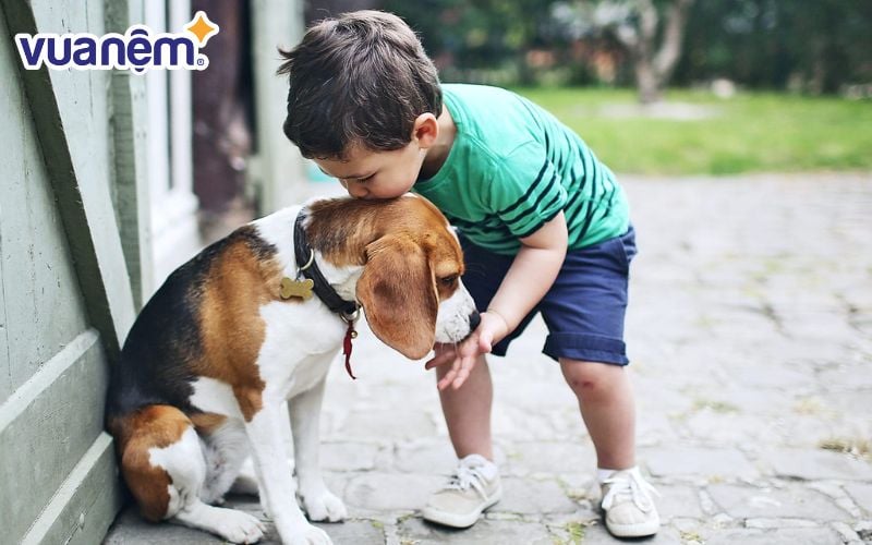 Tên hay gồm 3 chữ cho bé trai có họ Đinh
