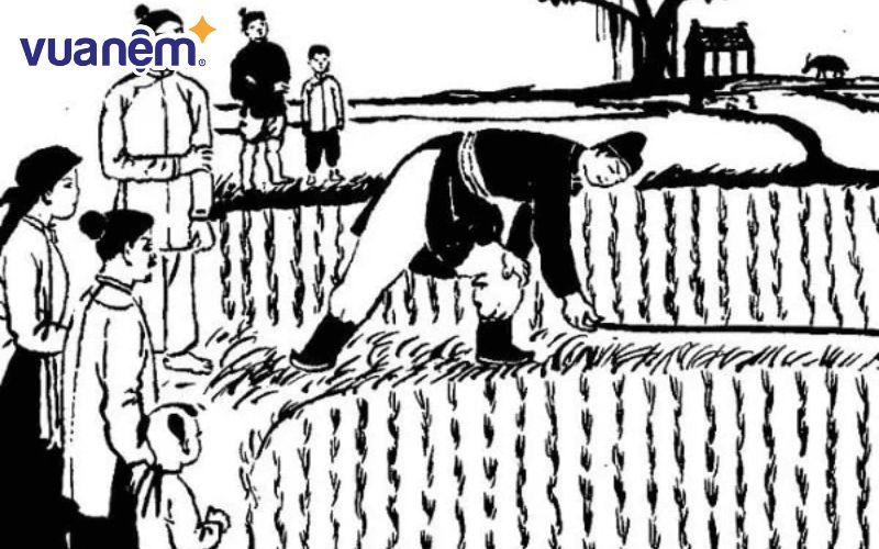 Thống kê số người mang họ Vũ chiếm đến 3,9% trong tổng dân số cả nước