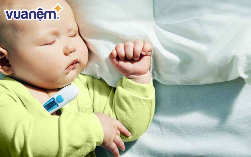 Vũ Anh Đại: hi vọng con sẽ trở thành người thông minh, có hoài bão, sáng suốt, ý chí lớn