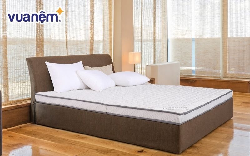 Đệm foam Hanvico U.Matrix