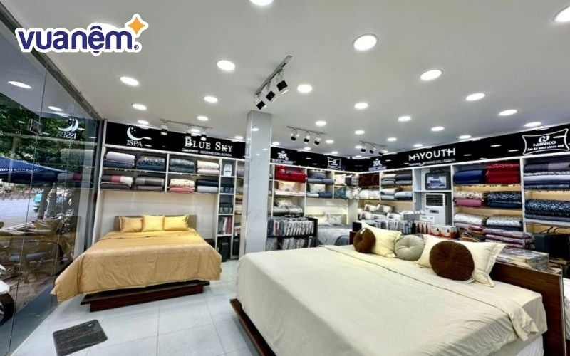 Showroom đệm Hanvico