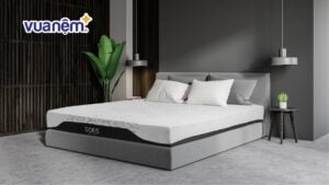 Đệm Foam Hanvico: Top sản phẩm & Bảng giá 2025