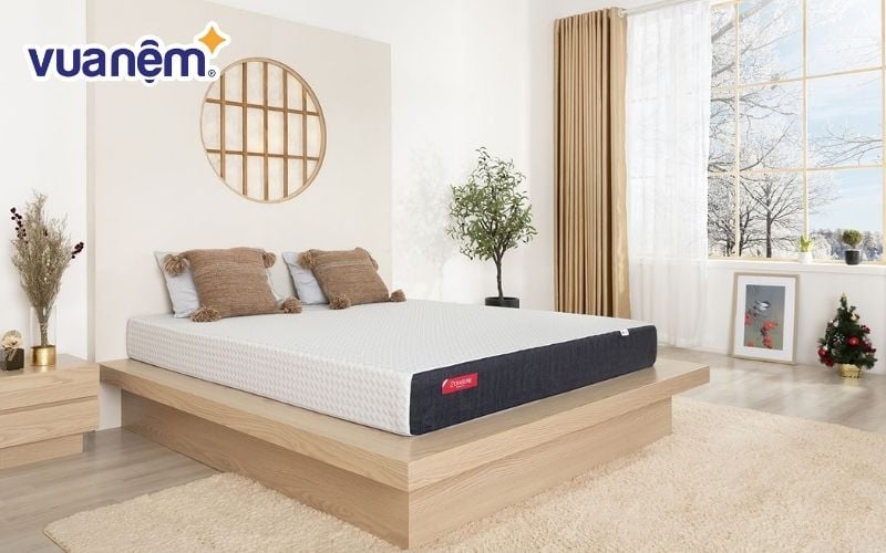 Nệm foam 1 tấm Oyasumi Premium