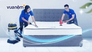 Top 10+ dịch vụ giặt nệm vệ sinh nệm tại nhà Đà Nẵng uy tín