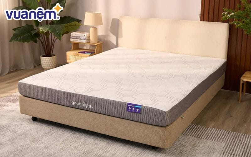 Nệm foam Goodnight Massage 2.0 giúp giảm áp lực lên cột sống và mang lại cảm giác thư giãn khi ngủ